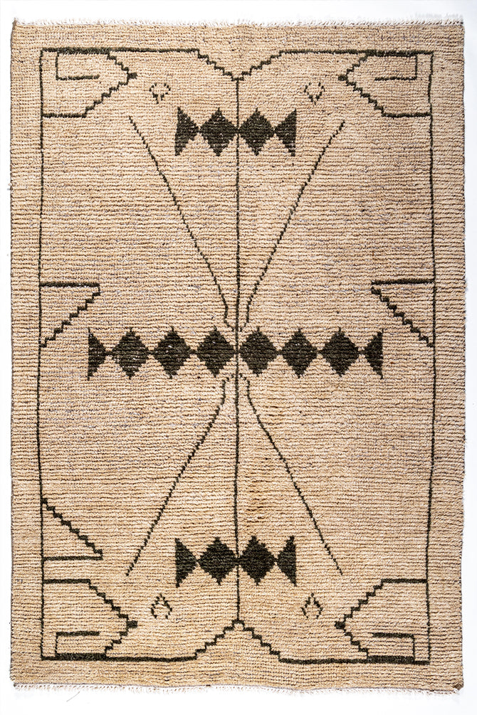 Arlon Hand Knotted Rug
